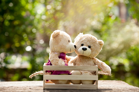 Close up bear kiss lovely brown two teddy bear in wooden box on wood concept, love and understanding.  With lens flare, Natural backgroundの写真素材