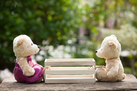 Two teddy bears in love sitting opposite a wooden box in the middle.  Concept of love understanding and tenderness.  With lens flare, Natural backgroundの写真素材