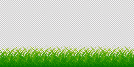 Green Grass Border, Isolated on Transparent Background. Vector Illustrationのイラスト素材