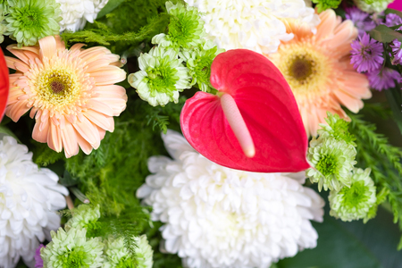 Bunch of flowers for backgroundの写真素材