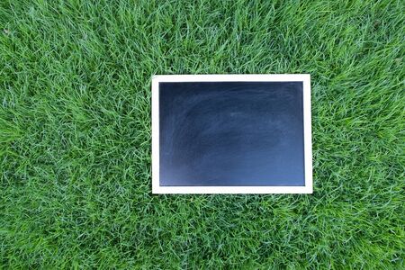 Blank black chalkboard on green grass.