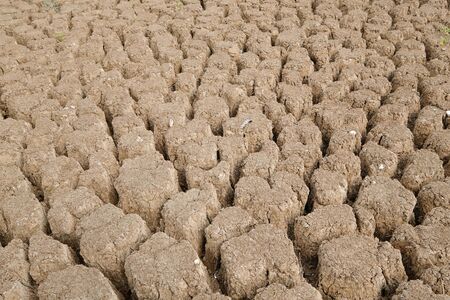 Brown soil surface is cracked. Global warming concept. Cracked earth texture.