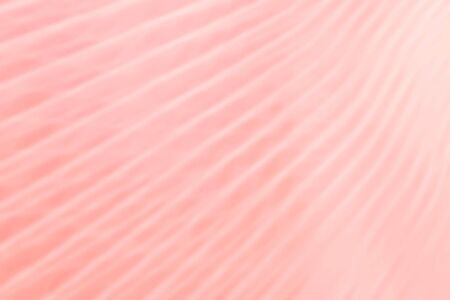 Abstract blur light gradient with white stripes, pink soft pastel color wallpaper background.の写真素材