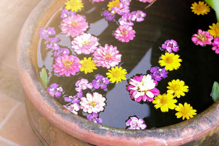 Flowers on water in cray jars. Beautiful flower in a garden.