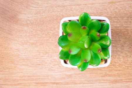 Plastic cactus on brown wooden background.の写真素材