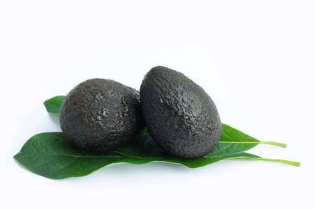 Avocado with leaf isolated on white background. Half-cut fruit of avocado (Persea americana).の写真素材