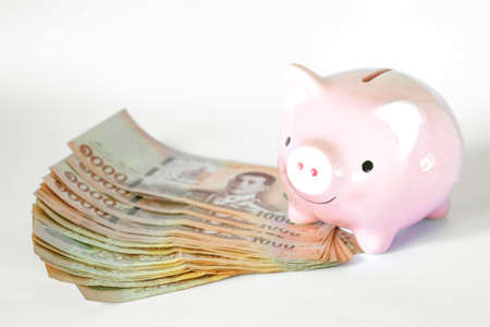 Saving money concept, Piggy bank and Thailand banknote on white background. Business concept.