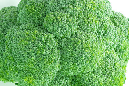 close up broccoli isolated on white background.の写真素材