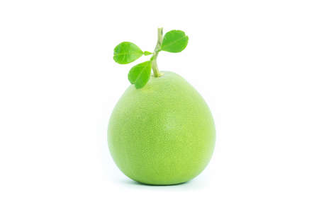 Pummelo isolated on white background.  Famous tropical fruit in Thailand.