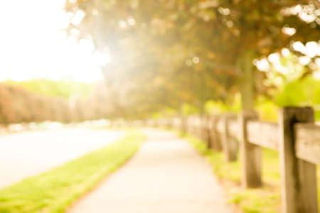 Blur beautiful maple tree and sunlight in foret at boston.の写真素材