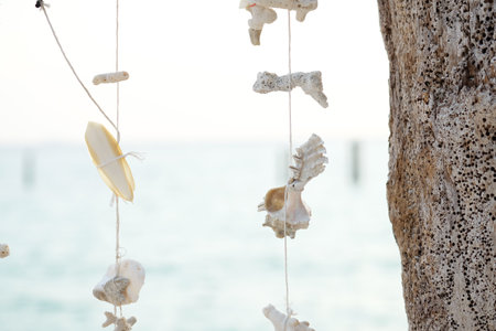 White corals and seashells tied with white string decorate the beach. Thailand tourism concept.の写真素材