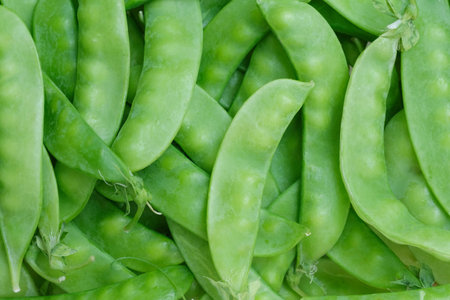 Green peas for background.の写真素材