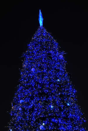 Beautiful christmas tree at nightの写真素材