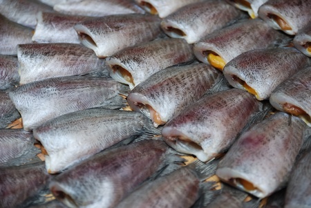 Fish  gourami dried in the sun, Thailand.の写真素材