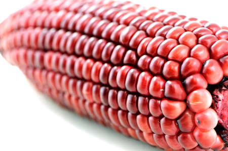 Sweet red corn isolated on white 
