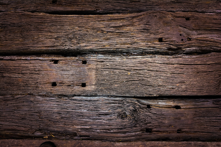 Tree bark textureの写真素材