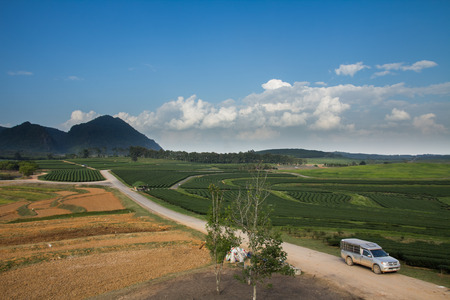 The pickup truck driving on the highway winding through forested landscapeの写真素材