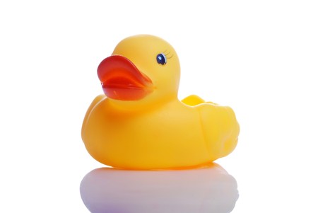 image of a cute rubber duck on whiteの写真素材