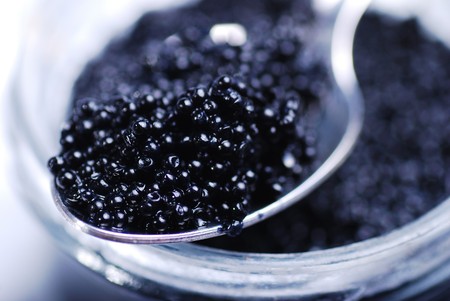 Black caviar on a spoon
の写真素材