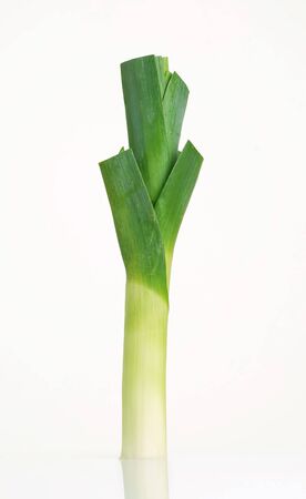 Fresh leek on isolated white backgroundの写真素材