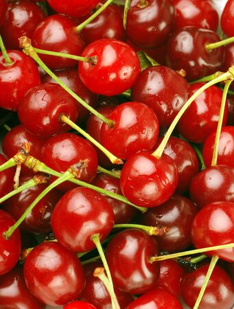 bunch of fresh, juicy, ripe cherriesの写真素材