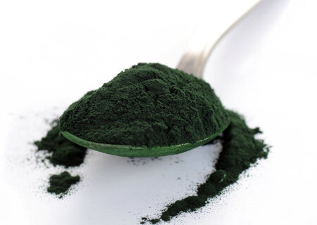 Spirulina powder isolated on whiteの写真素材
