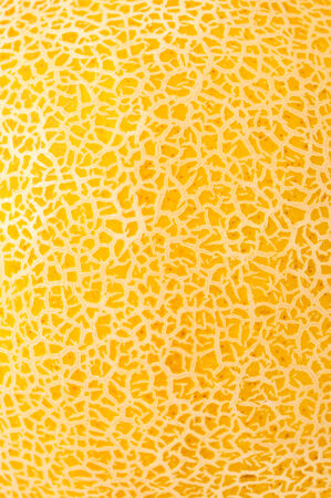 closeup of yellow melon textureの写真素材
