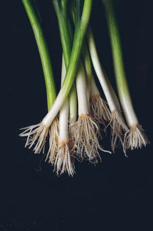 bunch of fresh green onions on woodの写真素材