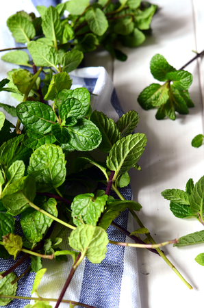 Freshly picked homegrown mint leaves