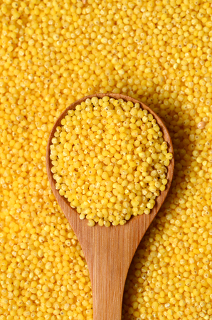 raw organic millet seeds shot with a macro lens
