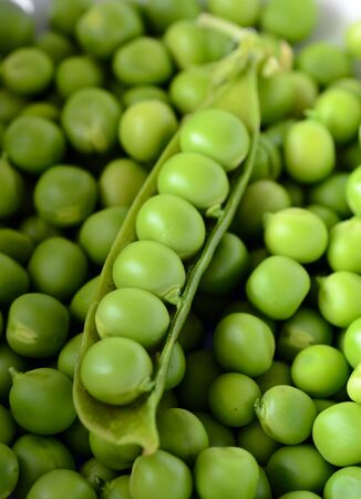 Fresh raw organic green peas close up photographの写真素材