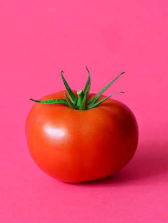 One ripe tomato on a pink backgroundの写真素材