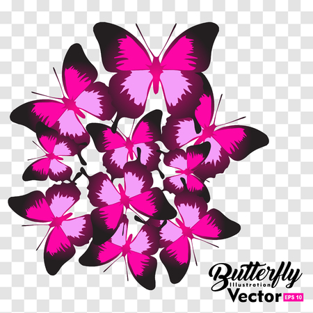 colorful Butterfly illustration vector collection, for you symbol, icon, brand and other usersのイラスト素材