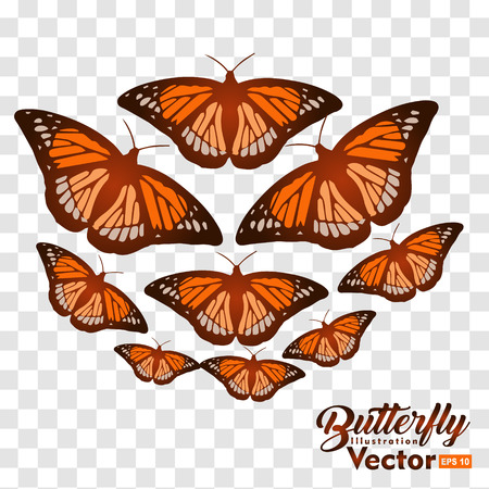 colorful Butterfly illustration vector collection, for you symbol, icon, brand and other usersのイラスト素材