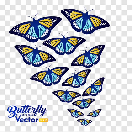 colorful Butterfly illustration vector collection, for you symbol, icon, brand and other usersのイラスト素材