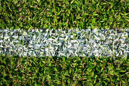 White stripe on the green soccer fieldの写真素材