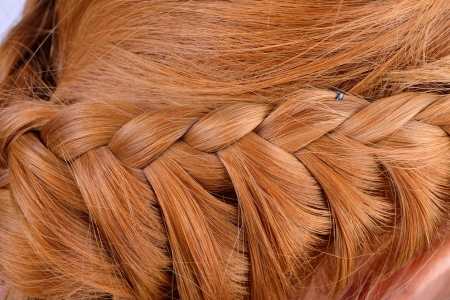 Rear view of a hairstyleの写真素材