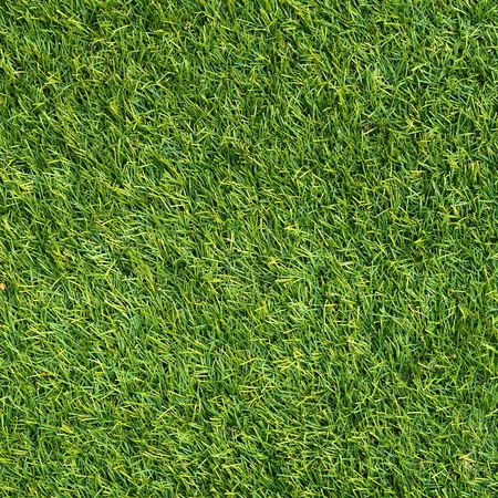 artificial green grassの写真素材