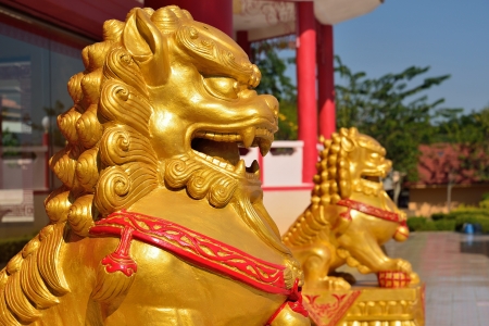 golden lion statue, symbol of protection & power in oriental asia especially chinaの写真素材