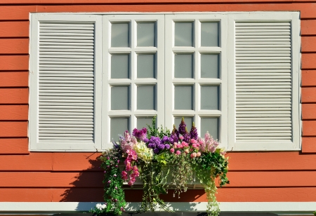 Window decorated with fresh flowersの写真素材