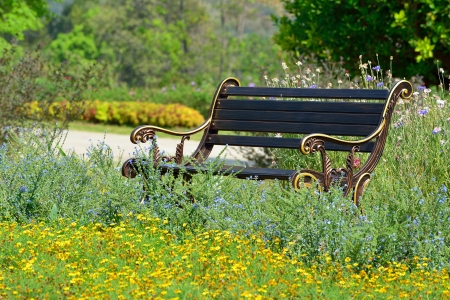 Vintage bench in flowers gardenの写真素材
