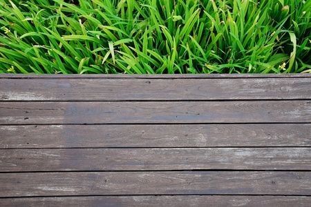 wooden with green leaves backgroundの写真素材