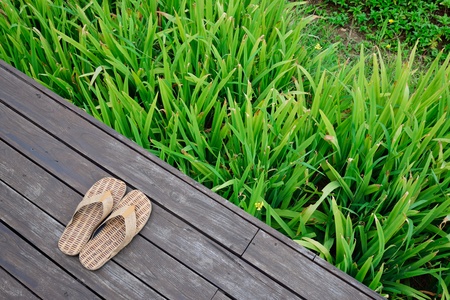 shoes and wooden floor with green leaves backgroundの写真素材