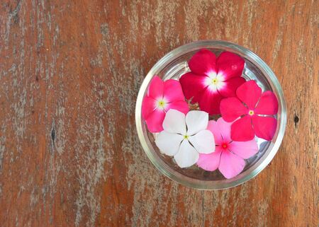 flowers floating  water in glass with wood backgroundの写真素材