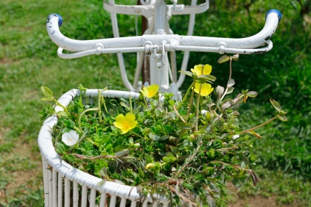 bicycle with flowers decorationの写真素材