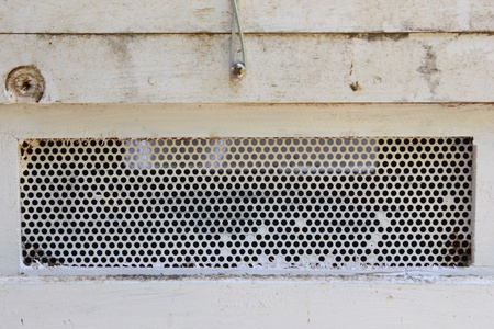 bee farmの写真素材