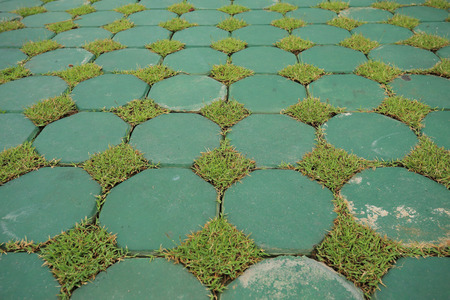 design of eco flooring use from cement block and green grassの写真素材
