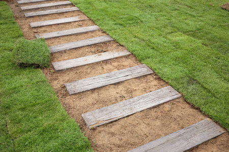 New grass, planting new sod grass in the gardenの写真素材