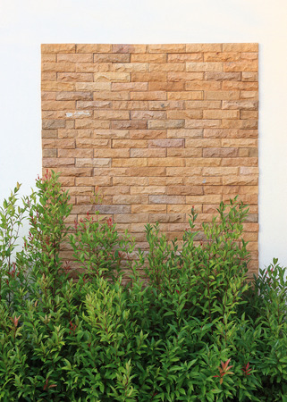 home decoration with green tree and modern brickの写真素材