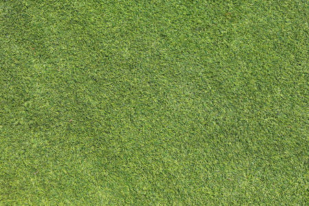 green grass turf texture backgroundの写真素材